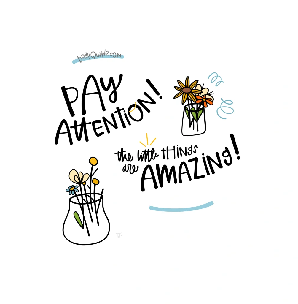 The Art of Noticing | The Daily Quipple